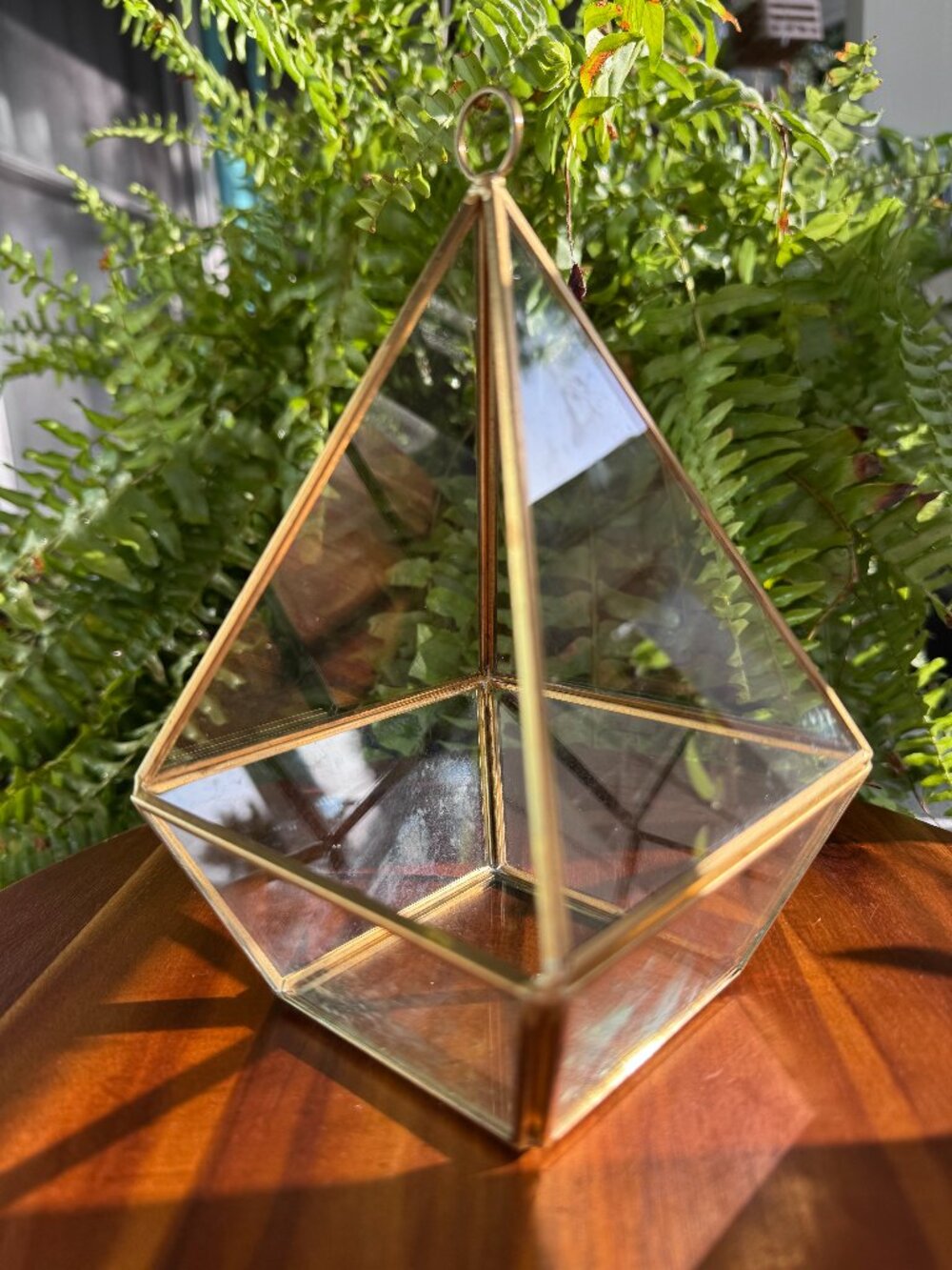 Geometric Glass Brass Planter, Tall Terrarium Container for Plants with Hook